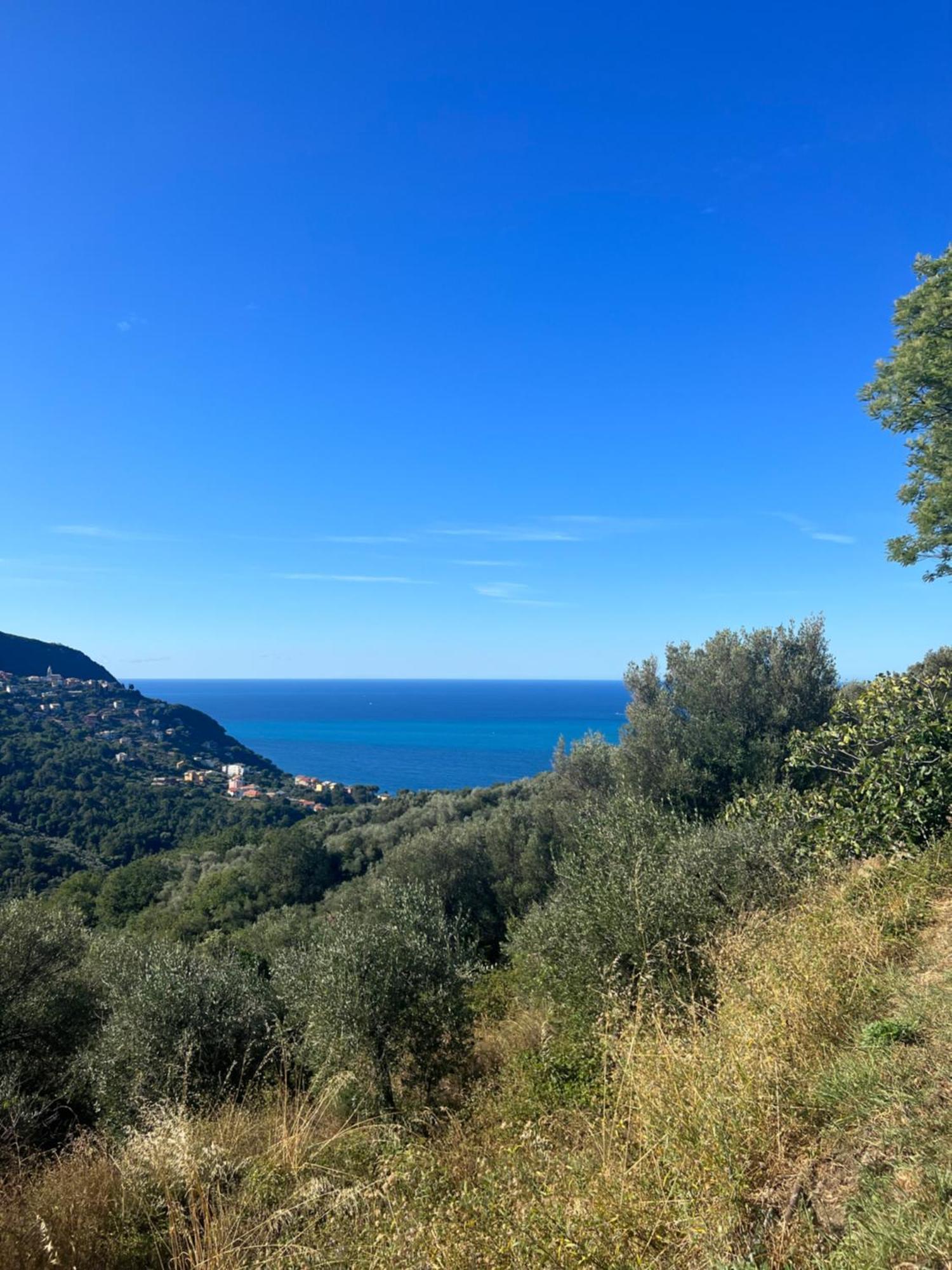 Olivetta House Holiday Moneglia Kültér fotó